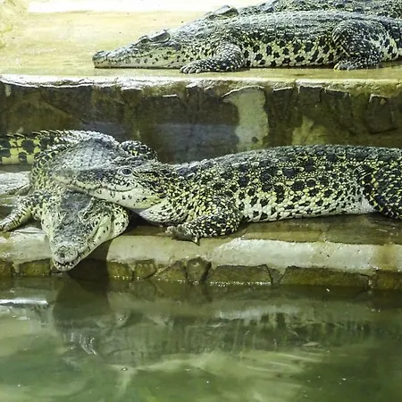 U Malse 12 Appartamento *