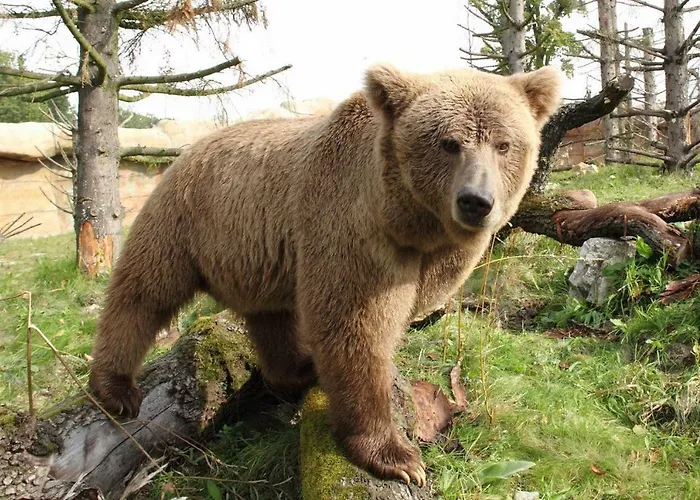 U Malse 12 Ceske Budejovice